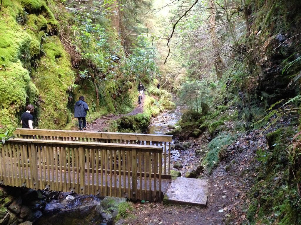 Pucks Glen Lodges, Rashfield, By Dunoon Luaran gambar