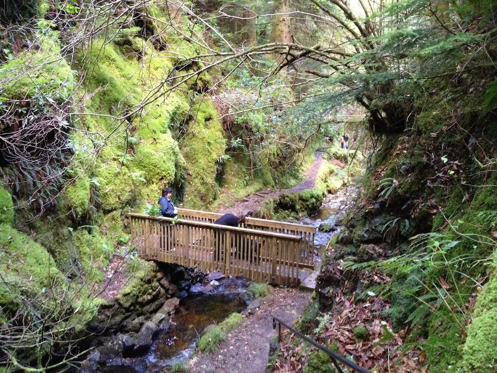 Pucks Glen Lodges, Rashfield, By Dunoon Luaran gambar