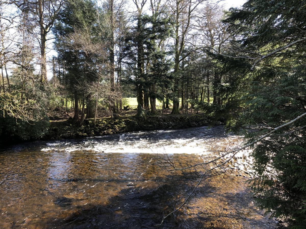 Pucks Glen Lodges, Rashfield, By Dunoon Luaran gambar
